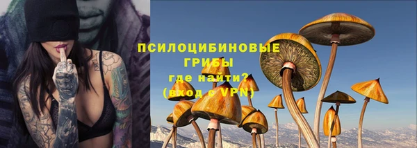 спиды Богородск