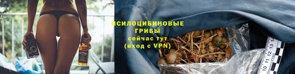 кокс Бородино