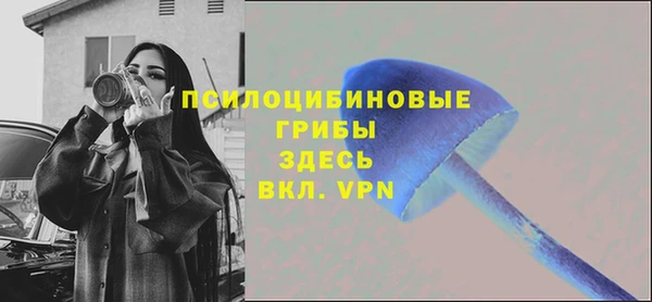 не бодяженный Богданович