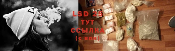 mdpv Богородицк