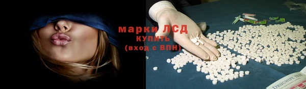 mdpv Богородицк