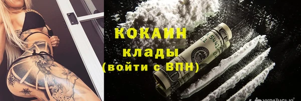 mdpv Богородицк