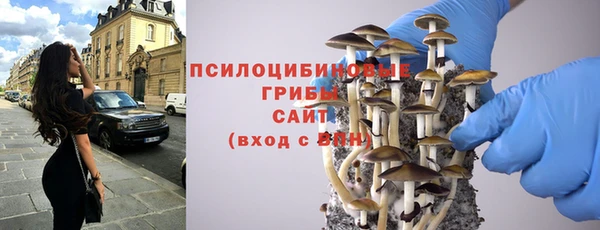 кокс Бородино