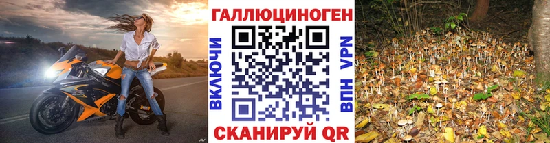 купить цена ссылка на мегу онион Галлюциногенные грибы MAGIC MUSHROOMS Красновишерск